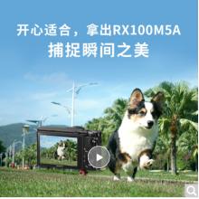 索尼（SONY）DSC-RX100M5A 黑卡數(shù)碼相機(jī) Vlog視頻拍攝套裝 1英寸大底（蔡司鏡頭 高速對(duì)焦 RX100VA/黑卡5A）（漏）