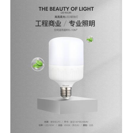 雷士（NVC）雷士照明節(jié)能燈 led大功率燈泡 省電燈飾 燈具 40W 6500K白光 E27球泡 一只裝