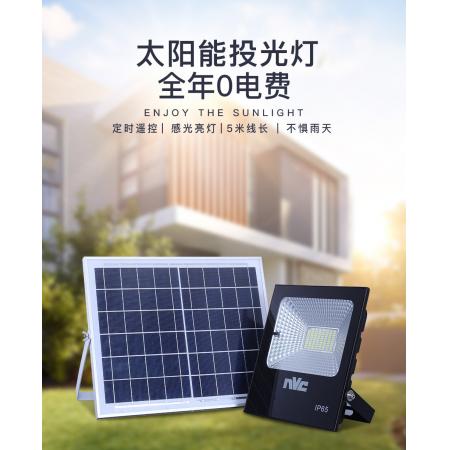 雷士（NVC）雷士照明室外路燈太陽能燈家用庭院燈高亮LED投光燈防水室外圍墻燈 特惠款【光控+遙控功能】20瓦