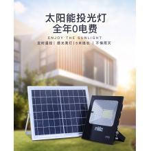 雷士（NVC）雷士照明室外路燈太陽能燈家用庭院燈高亮LED投光燈防水室外圍墻燈 【光控+遙控功能】40瓦