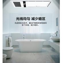雷士（NVC）多功能風暖浴霸 雙電機智能暖風機取暖器 涼霸浴霸面板燈衛(wèi)生間浴室適用于集成吊頂  一廚一衛(wèi)套餐