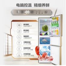 海信 (Hisense) 252升三門冰箱 小型冰箱 靜音 電冰箱 BCD-252WYK1DS