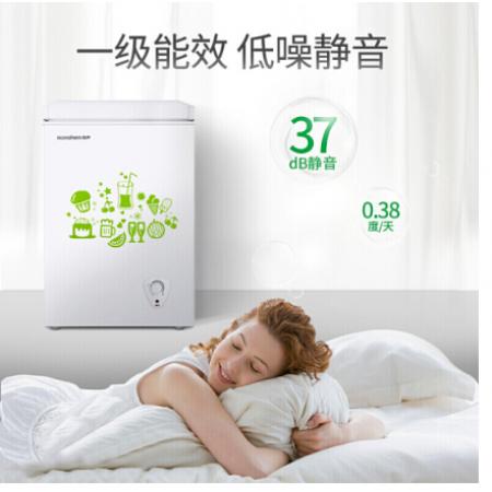 容聲(Ronshen)BD/BC-100MB 100升小型冰柜 冷藏冷凍轉(zhuǎn)換 迷你冷柜