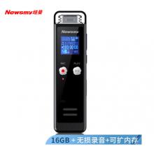 紐曼（Newsmy）錄音筆 RV75 16G 發(fā)燒級(jí)無損錄音 學(xué)習(xí)培訓(xùn)商務(wù)會(huì)議記錄留證 MP3播放器 炫酷灰