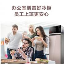 海爾（Haier）151升 電腦溫控全溫區(qū)立式風冷無霜防串味冷藏冷柜 儲藏冰柜 BD-151WLG