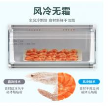 美的(Midea) 240升 分區(qū)大抽屜防串味家用立式冷柜 小冰箱冰柜 BD/BC-240WE