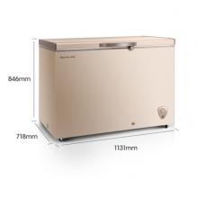 海信 (Hisense) 308升一級能效商用冰柜冷柜節(jié)能冰箱金色BD/BC-308NUD