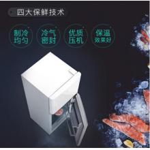 TCL 118升 小型雙門電冰箱 LED照明 迷你小冰箱 冰箱小型便捷 節(jié)能靜音（芭蕾白）BCD-118KA9