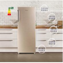 海信（Hisense）170升家用冰柜 一級能效節(jié)能立式冷凍 抽屜式儲存冷柜 側(cè)開門單門冰箱 BD-170/A