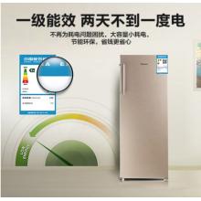 海信（Hisense）170升家用冰柜 一級能效節(jié)能立式冷凍 抽屜式儲存冷柜 側(cè)開門單門冰箱 BD-170/A 