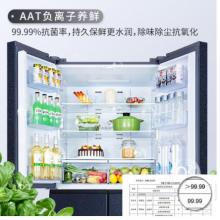 TCL 486升 雙變頻風(fēng)冷無霜十字對開門電冰箱 AAT養(yǎng)鮮 電腦控溫 一級能效 星玄青 BCD-486WPJD