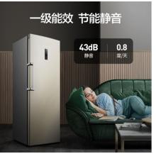 容聲(Ronshen) 252升 風(fēng)冷無霜冰柜 立式冷凍柜  電腦控溫 一級能效BD-252WY