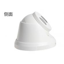 ?？低暰W絡監(jiān)控攝像頭 網絡高清紅外30米半球監(jiān)控設備套裝 非POE 200萬非POE DS-2CD1321D-I 2.8MM焦距
