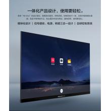 MAXHUB一體化LED顯示終端 【適用于會議室/展廳/報告廳】大場景巨幕 110寸 LM110MP19