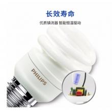 節(jié)能燈 飛利浦 20w E27暖色