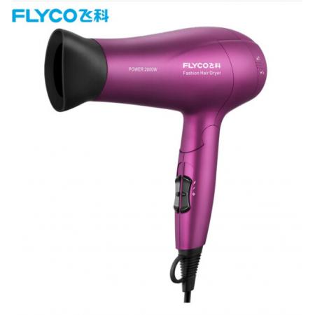 飛科(FLYCO)電吹風機 FH6618大功率吹風筒負離子 2000W