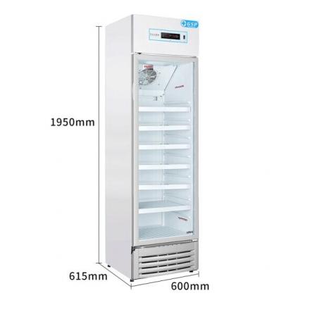 海爾（Haier） HYC-310S 冷柜