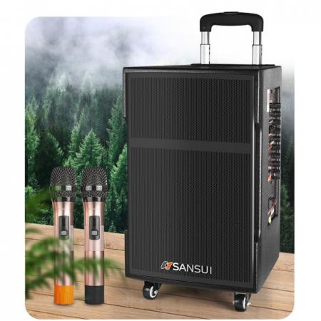 山水（SANSUI） SG3藍(lán)牙音箱戶外移動(dòng) 專業(yè)廣場(chǎng)舞音響木質(zhì)大功率演出音箱 SG3-15（帶話筒）