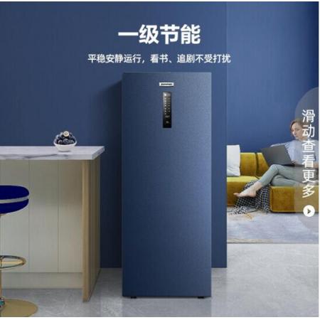 容聲（Ronshen） 158升一級(jí)能效冰柜 辦公室冷凍柜 風(fēng)冷無霜除菌凈味 電腦控溫BD-158WRSY
