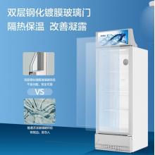 海爾（Haier） 280升風(fēng)冷無(wú)霜立式展示柜冰柜 飲料冷藏柜 保鮮柜冷柜SC-288DS
