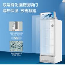 海爾（Haier） 280升風(fēng)冷無(wú)霜立式展示柜冰柜  保鮮柜冷柜SC-288DS