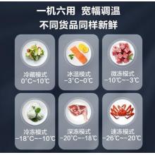 海爾（Haier）203升低霜小型 冰柜 冷藏冷凍轉(zhuǎn)換冷凍柜 BC/BD-203HTD