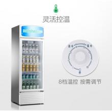 容聲(Ronshen) 320升 商用展示柜 立式冷藏 大容量飲料柜 玻璃單門(mén)陳列柜SC-320LC