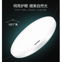 吸頂燈	德力西	24W冷白光