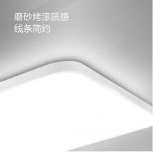 飛利浦 智能Wi-Fi LED慧知系列悅澤長(zhǎng)方形吸頂燈115W兩室一廳套裝