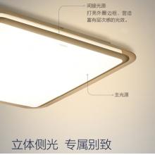 飛利浦 PHILIPS 吸頂燈客廳臥室長方形吸頂燈 幻鏡長方形95W 27-65K銀色含遙控器