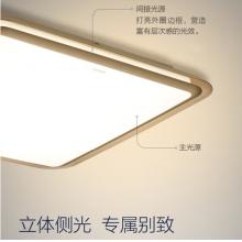 飛利浦 PHILIPS 吸頂燈客廳臥室長(zhǎng)方形吸頂燈 幻鏡長(zhǎng)方形95W 27-65K金色含遙控器