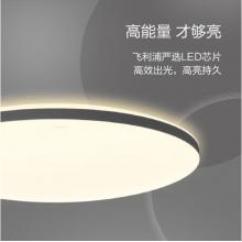 飛利浦led吸頂燈客廳臥室書房餐廳燈簡(jiǎn)約超薄現(xiàn)代大氣吸頂燈悅巧圓形36w 墻壁三色可調(diào) (灰黑色) 9290026441