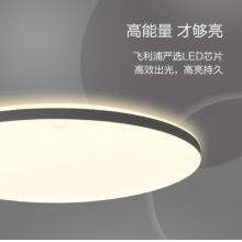 飛利浦led吸頂燈客廳臥室書房餐廳燈簡約超薄現(xiàn)代大氣吸頂燈悅巧圓形24w 墻壁三色可調(diào) (卡其色) 9290026444