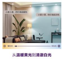 飛利浦 PHILIPS 智能Wi-Fi彩光和白光氛圍LED燈帶2米基礎(chǔ)裝(含驅(qū)動(dòng))
