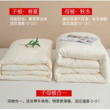 南極人NanJiren 抗菌七孔纖維冬被 二合一子母被 雙人加厚秋冬被冬季空調(diào)被芯 200*230cm3+5斤