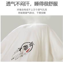 南極人NanJiren A類抗菌夏被空調(diào)被 大豆纖維被子被芯 全棉夏涼被雙人夏季薄被子 200*230cm