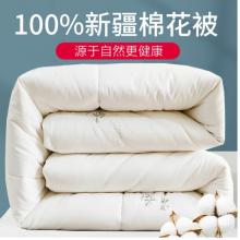 南極人NanJiren 100%新疆棉花被 全棉被子被芯棉被 單人加厚學生秋冬被冬季空調(diào)被 5斤 150*200cm