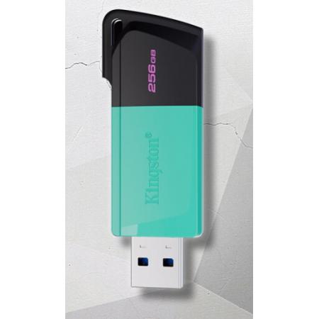 U盤	金士頓 DTXM-256GB(滑蓋式）