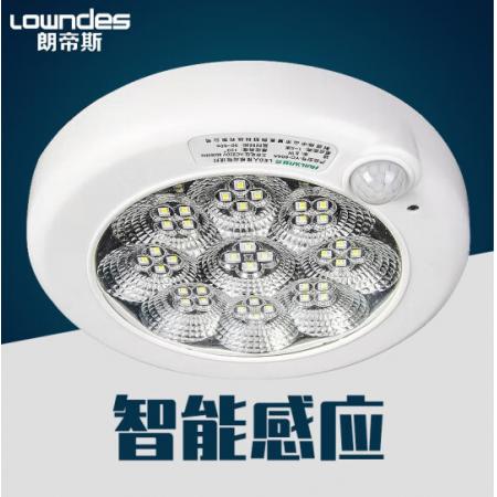 朗帝斯（LOWNDES） 人體感應(yīng)燈 智能聲控光控雷達(dá)led吸頂燈 梅花人體/大號(hào)12W白光