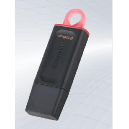 U盤256G	KINGSTON	256G