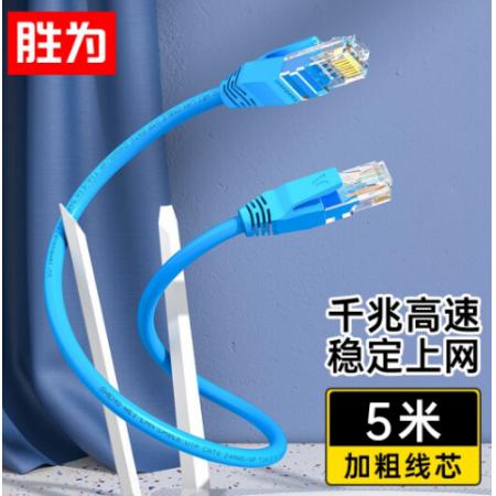 屏蔽線	勝為六類5米