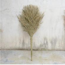 竹子掃把