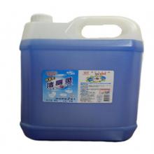 雅特 潔廁靈10KG
