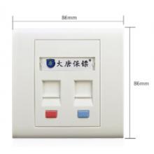 雙口面板	大唐保鏢	DT2801-2