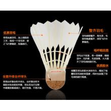 紅雙喜DHS羽毛球 飛行穩(wěn)定堅韌耐打訓練用球402 12只裝