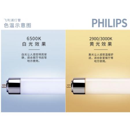 燈管	飛利浦T5 14瓦 