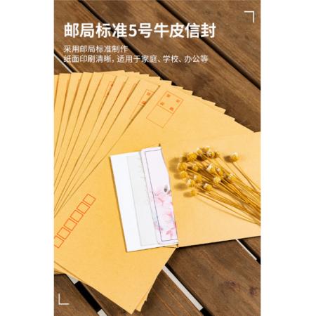 得力(deli)20張5號(hào)牛皮紙信封  米黃色-5號(hào)(20個(gè)/包) 3423-20