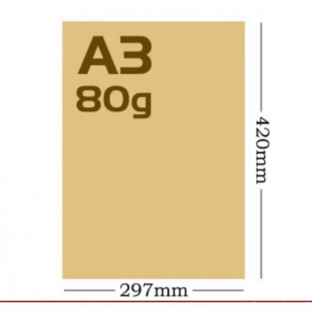 科朗鑫盛全開大張牛皮紙卡  A3 牛皮紙 80g 50張
