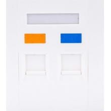 愛譜華頓	AP-M-04-2A /AP-D-06FS	雙口面板含六類數(shù)據(jù)模塊