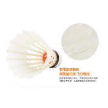羽毛球李寧AE15
